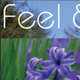 feel&travel