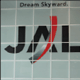 JAL CSR REPORT 2009